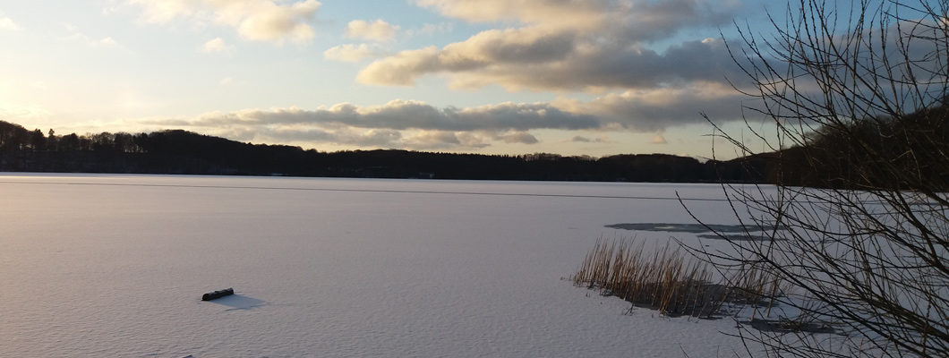 Mözener See im Winter